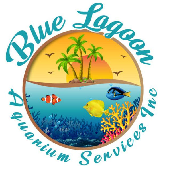 Blue Lagoon Aquarium Services Inc.